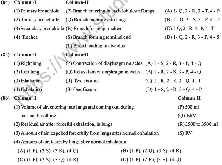 NEET Biology Breathing and Exchange of Gases MCQs Set B-22