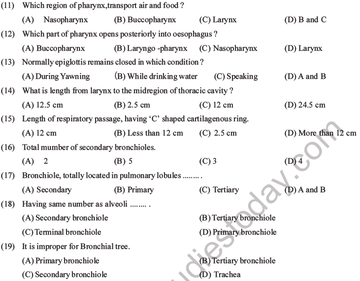 NEET Biology Breathing and Exchange of Gases MCQs Set B-3