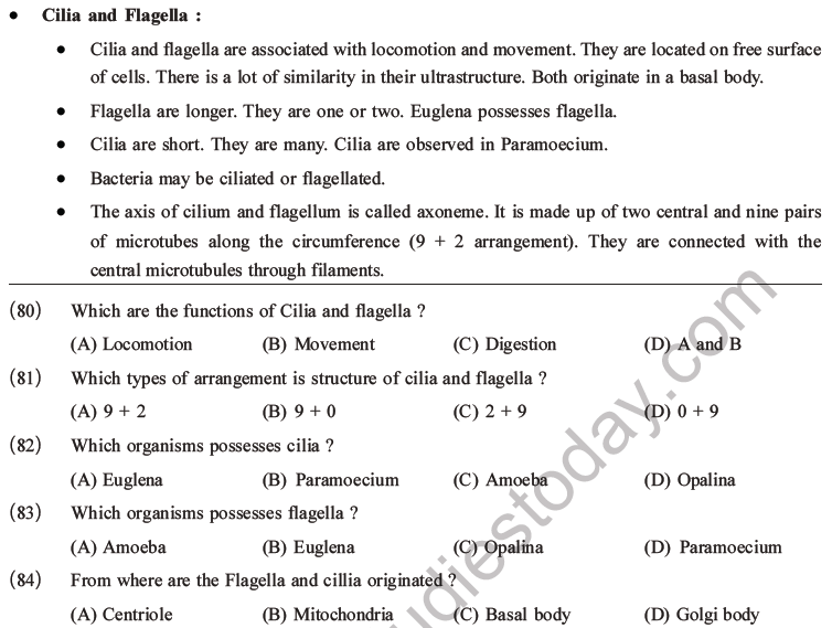 NEET Biology Cell Structure and Function MCQs Set B-19