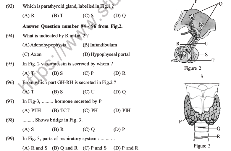 NEET Biology Chemical Coordination and Control MCQs Set B-25