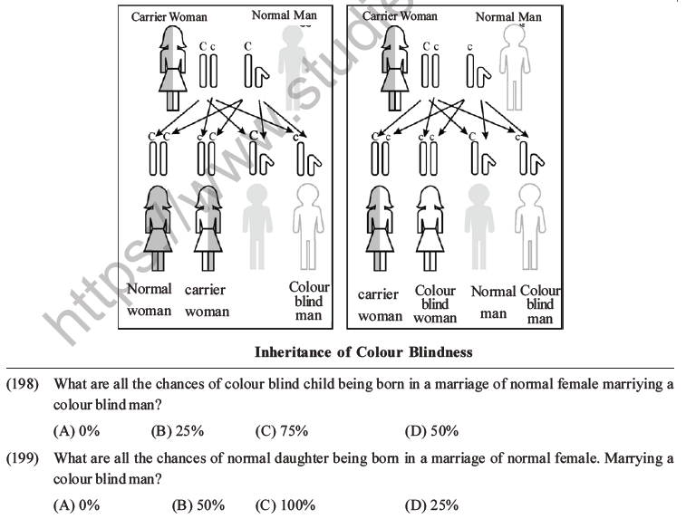 NEET Biology Heredity and Variation MCQs Set B-90