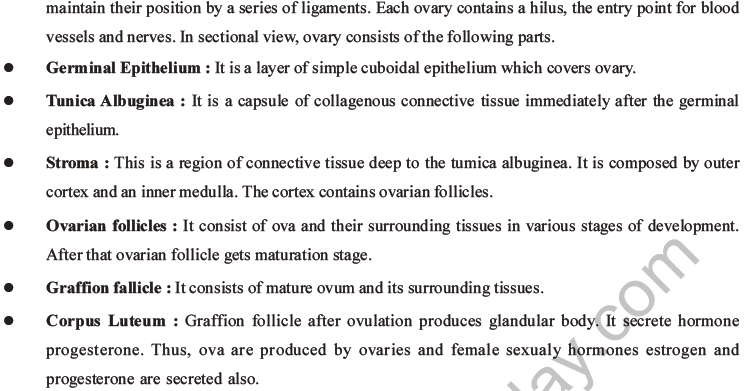 NEET Biology Human Reproduction MCQs Set A-16