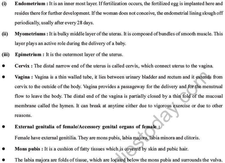 NEET Biology Human Reproduction MCQs Set A-19