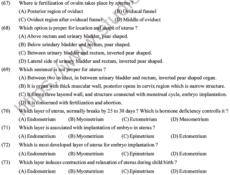 NEET Biology Human Reproduction MCQs Set A-24
