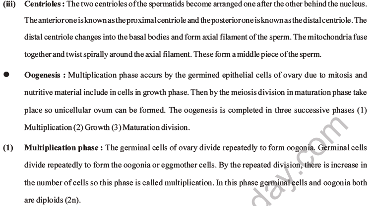 NEET Biology Human Reproduction MCQs Set A-30