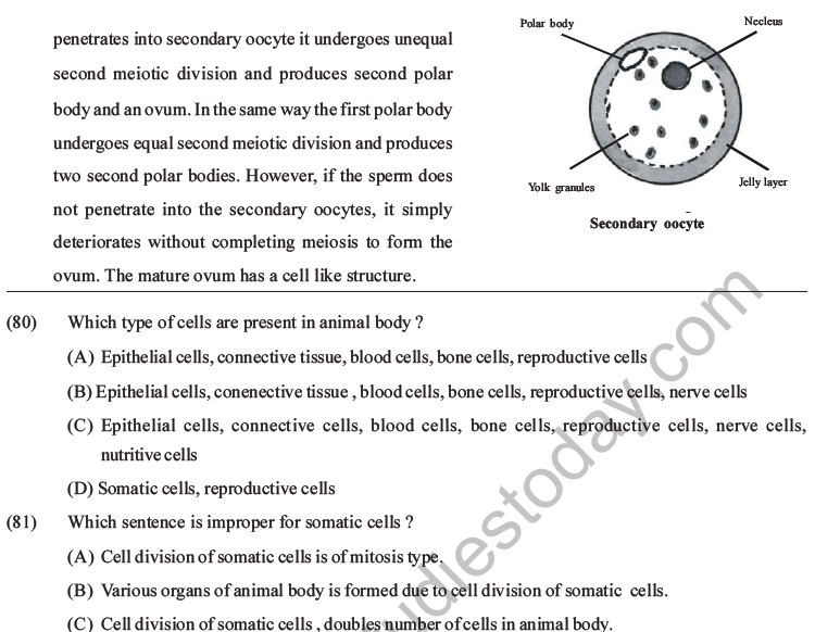 NEET Biology Human Reproduction MCQs Set A-33