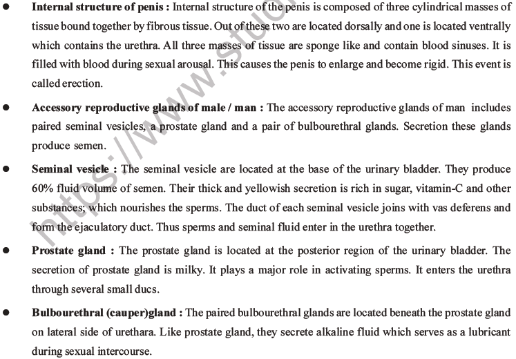 NEET Biology Human Reproduction MCQs Set A-5