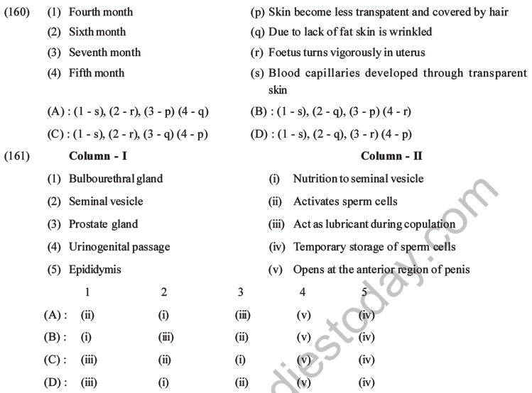 NEET Biology Human Reproduction MCQs Set A-61