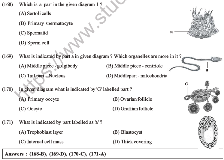 NEET Biology Human Reproduction MCQs Set A-64