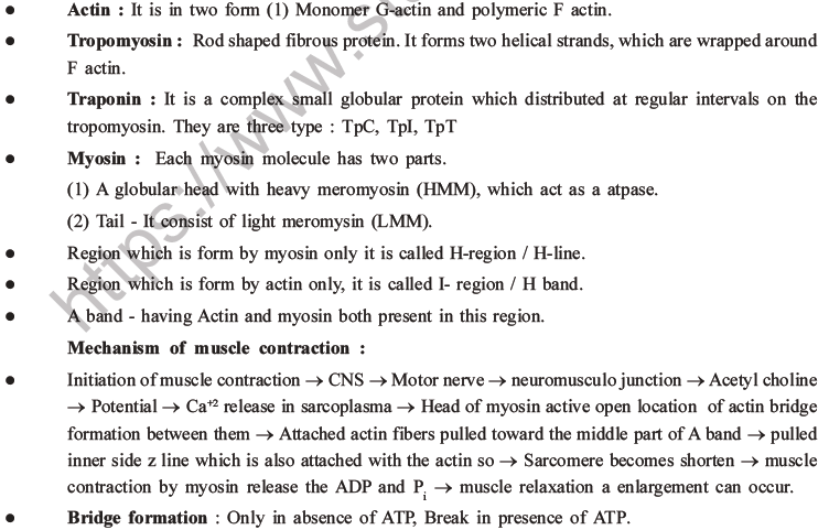NEET Biology Locomotion and Movement MCQs Set A-2