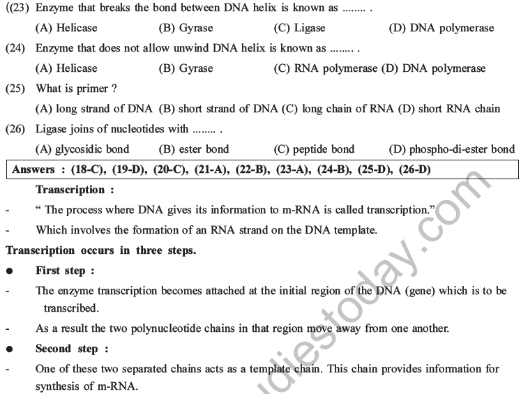 NEET Biology Molecular Basis of Inheritance MCQs Set A-10