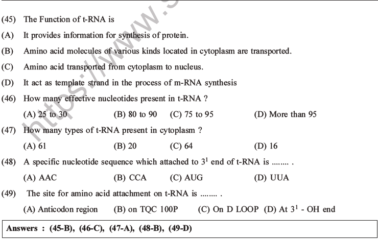 NEET Biology Molecular Basis of Inheritance MCQs Set A-19