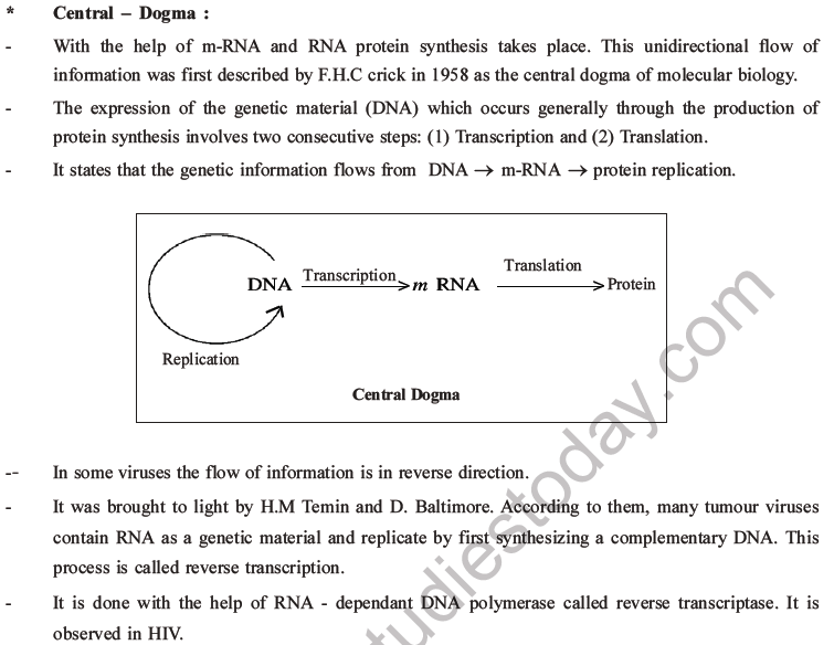 NEET Biology Molecular Basis of Inheritance MCQs Set A-20