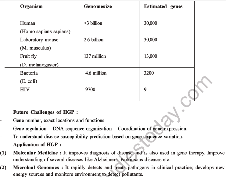 NEET Biology Molecular Basis of Inheritance MCQs Set A-36