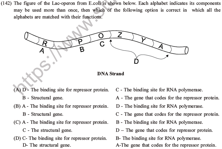 NEET Biology Molecular Basis of Inheritance MCQs Set A-59
