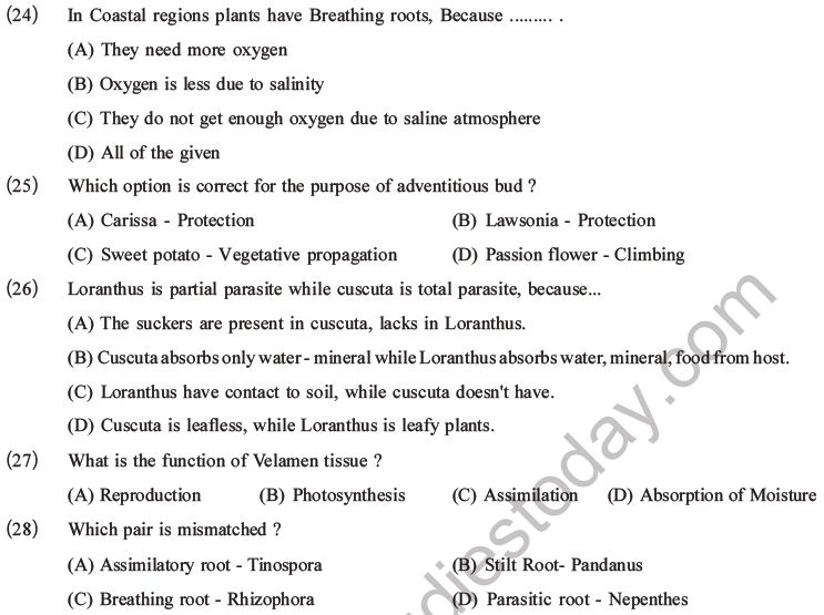 NEET Biology Morphology of Plants MCQs Set A-7