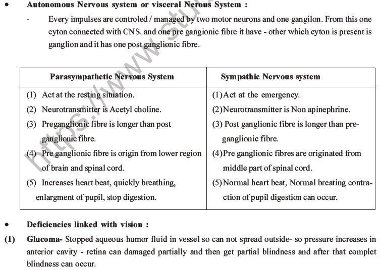 NEET Biology Morphology of Plants MCQs Set B-90