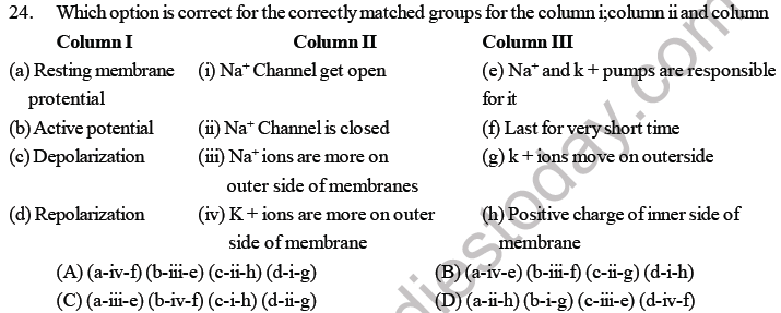 NEET Biology Neural Control and Coordination MCQs Set B-Q124