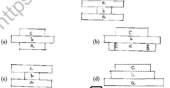 NEET Biology Organism and Population MCQs Set B-Q35
