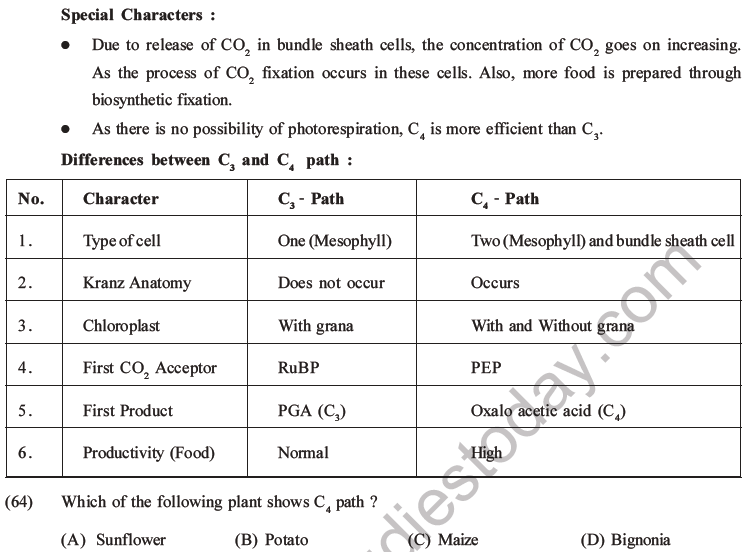 NEET Biology Photosynthesis MCQs Set A-28