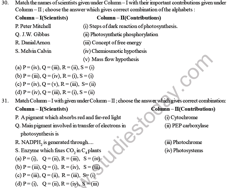 NEET Biology Photosynthesis MCQs Set B