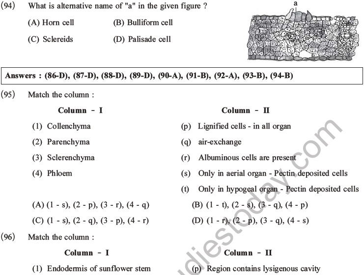 NEET Biology Plant Anatomy Plant Tissues MCQs Set A-30