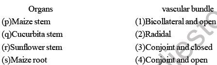 NEET Biology Plant Anatomy Plant Tissues MCQs Set B