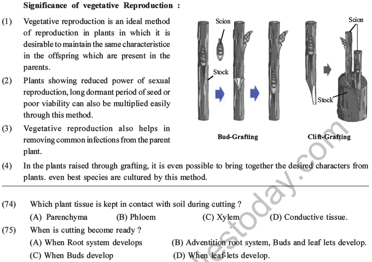 NEET Biology Reproduction in Organisms MCQs Set A-27