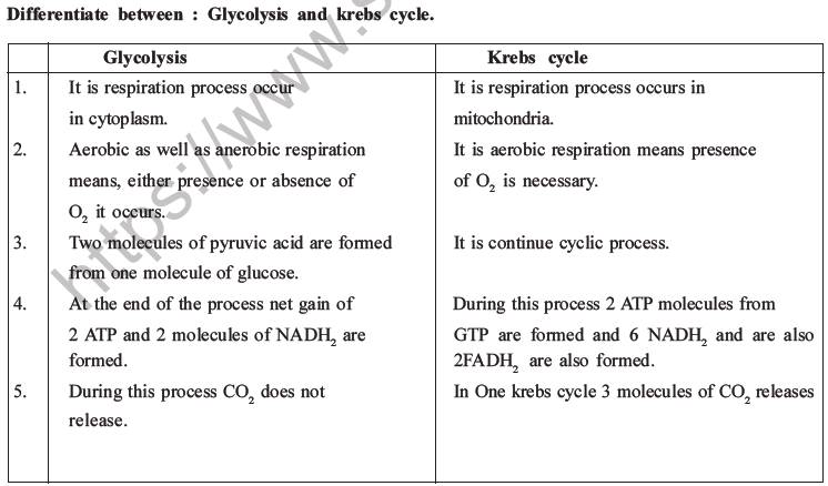NEET Biology Respiration MCQs Set A-24