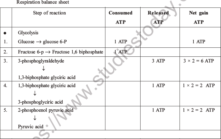 NEET Biology Respiration MCQs Set A-46
