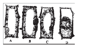 NEET Biology Transport in Plants MCQs Set B-2