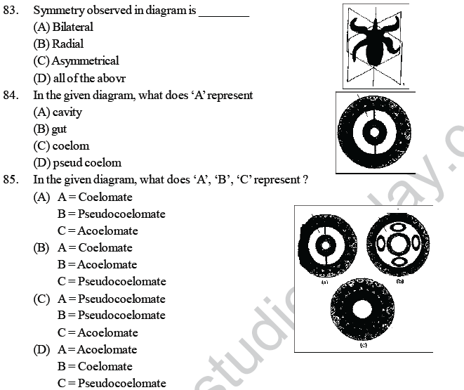 NEET UG Biology Animal Kingdom MCQs-4
