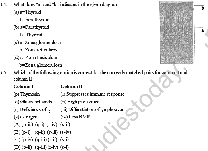 NEET UG Biology Chemical Coordination and Control MCQs-3