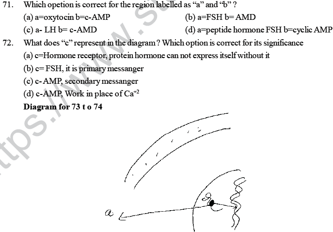 NEET UG Biology Chemical Coordination and Control MCQs-6