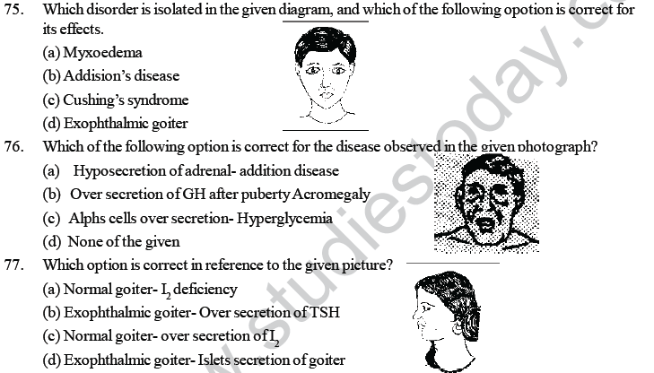 NEET UG Biology Chemical Coordination and Control MCQs-7