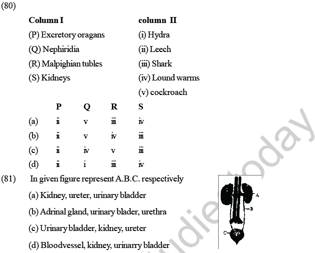 NEET UG Biology Excretory Products MCQs-2