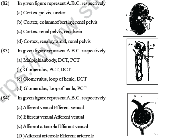 NEET UG Biology Excretory Products MCQs-3