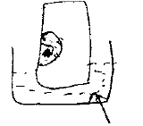 NEET UG Biology Transport in Plants MCQs