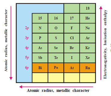 NEET UG Chemistry P Block Elements-