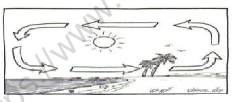 CBSE Class 4 Science Worksheet Set J 2