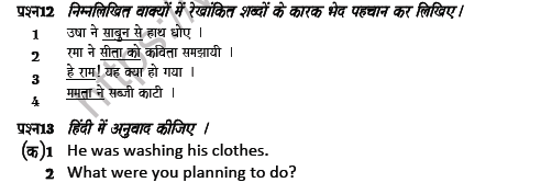 CBSE Class 7 Hindi Question Paper Set 12 Solved 3