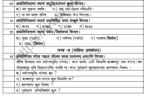 CBSE Class 9 Sanskrit Worksheet Set C 4