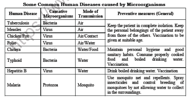 Class 7 Science Micro Organisms Advanced Notes