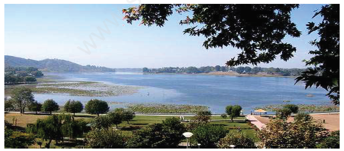 CBSE Class 2 GK Assignment (1)