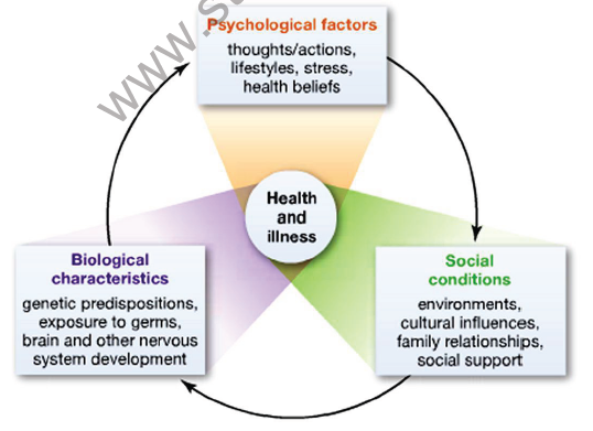 CBSE Class 9 Science Why do we fall ill Notes (1)