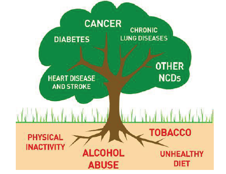 CBSE Class 9 Science Why do we fall ill Notes (1)