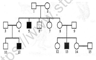 CBSE Class 12 Biology Sexual Principles of Inheritance And Variation Worksheet 2
