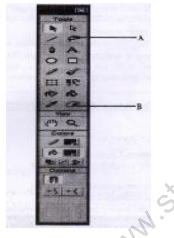 CBSE Class 12 Multimedia Web Tech Sample Paper 2021 Set A Solved 2