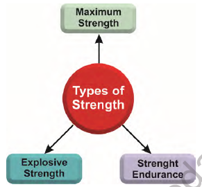 CBSE Class 12 Physical Education Sports Training Notes 2
