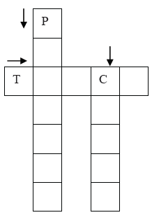 CBSE Class 2 EVS Sample Paper Set R
